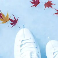 ▲氷に閉じ込められた森の落ち葉