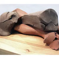 岡﨑乾二郎 《テウミンとたみをとむらって バツサイとつみをきりしは》2000年 