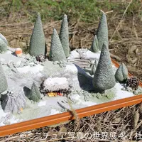 展示作品10
