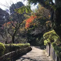 京王百草園の様子　（１１月１０日撮影）