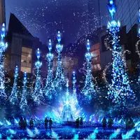 ※画像はイメージ