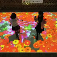 魔法のじゅうたん