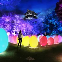 忘却の礎石にたちつづけるものたち / Resisting and Resonating Ovoids on the Stones of Oblivion teamLab, 2019, Digital Installation, Endless, Sound: Hideaki Takahashi