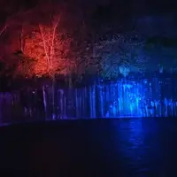 ライトアップイメージ（1）