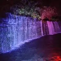 ライトアップイメージ（2）