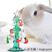 展示作品3