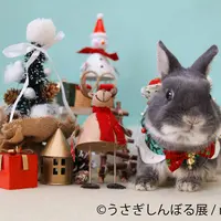 展示作品4