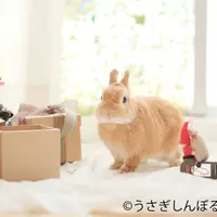 展示作品5