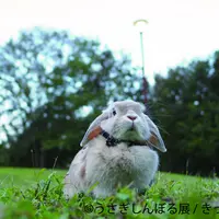 展示作品9