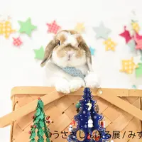 展示作品10