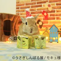 展示作品11