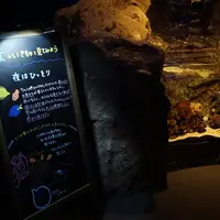 夜のいきもの解説黒板