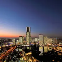 TOWERS Milight