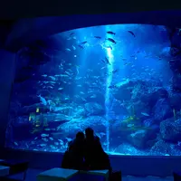 「東京大水槽」の前でディナーコースを楽しめる限定福袋も販売