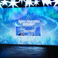 「BRIGHT SNOW」※イメージ