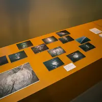 期間限定ポストカードとプリント作品