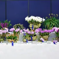 過去開催風景