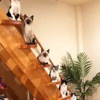 展示作品5