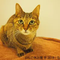 展示作品9