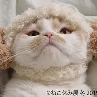 展示作品11