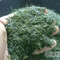 田中農園 深蒸し茶