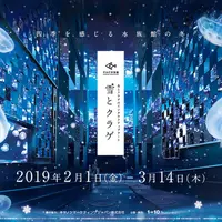 新展示「雪とクラゲ」イメージ