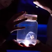 「ふわふわクラゲ」イメージ