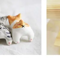 和猫路