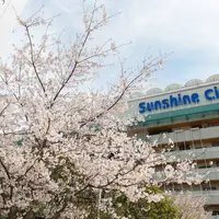 サンシャイン広場