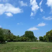 園内最大でチョウやトンボ、バッタなどが見られる原っぱ広場