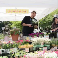 色鮮やかな花苗が並ぶフラワーパーティ（昨年の様子）