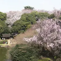庭園風景
