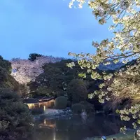 庭園ライトアップ風景