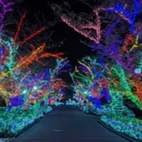 ヘルメス・プロムナード
