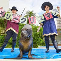 12月1日～25日はクリスマスver.！ イメージ