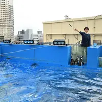 「天空のペンギン」水槽でのエサやり体験 イメージ