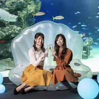 海のクリスマスパーティ in サンシャイン水族館