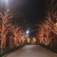 江戸桜イルミネーション2019 イメージ