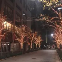 江戸桜イルミネーション2019 イメージ
