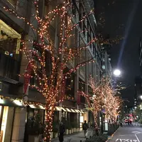 江戸桜イルミネーション2019 イメージ
