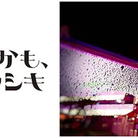 あえるかも、ルミヤシキ