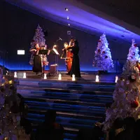 水族館で気軽に生演奏を楽しめる