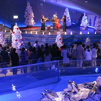 「クリスマスミニライブinすみだ水族館」 イメージ