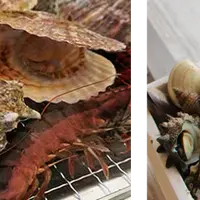 海鮮浜焼き イメージ
