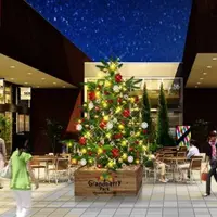クリスマスツリー