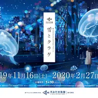 「雪とクラゲ」