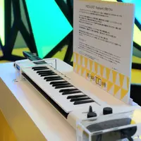 テーマ展示 セネステシア展示物1