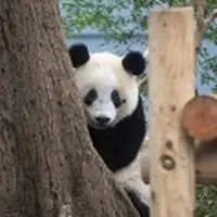 ハガキのデザイン：B