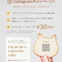 instagramキャンペーン