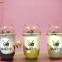 猫甜茶室（ねこてんちゃしつ） capioca（カピオカ） 新商品 イメージ